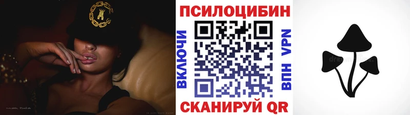 Галлюциногенные грибы Psilocybine cubensis  закладки  Вязьма 